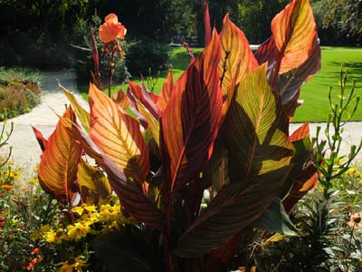 vau-2014-09-17-265
