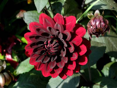 vau-2014-09-17-295a