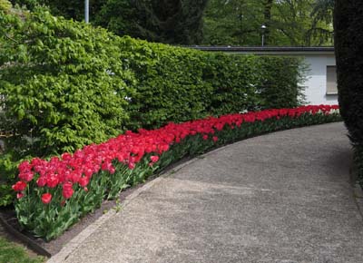 vau-2019-05-06-215