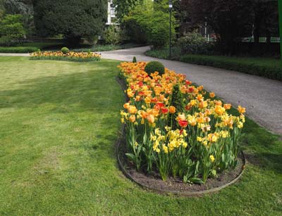 vau-2019-05-06-237