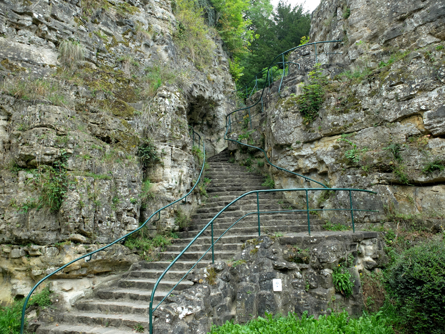 Accueil