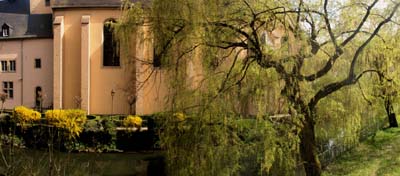 neu1-2013-04-29-271-pana