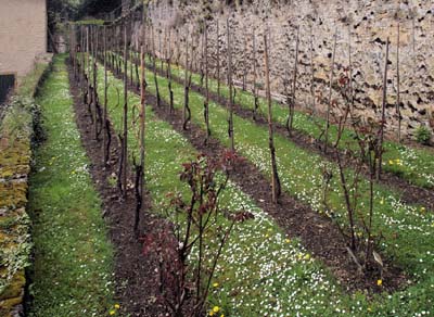 neu1-2013-05-02-209a