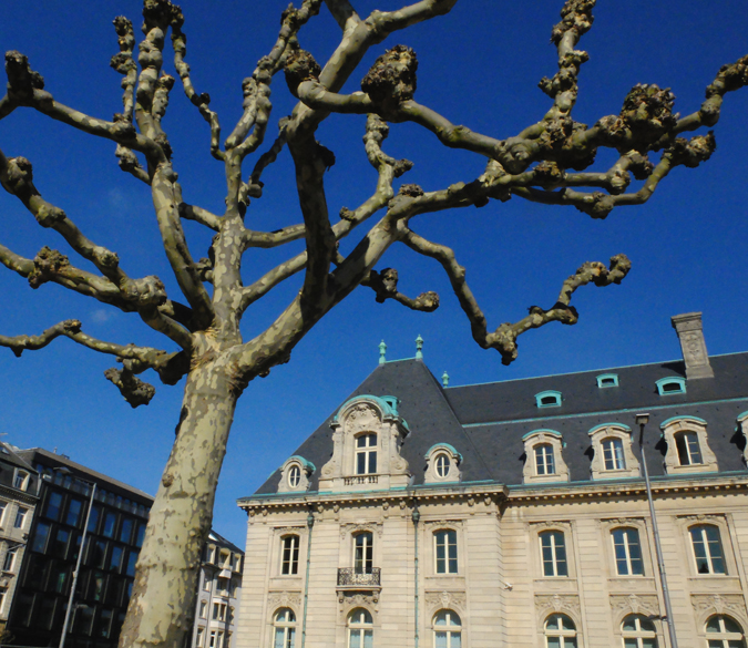 Accueil