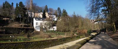 2013-03-03-010-pana
