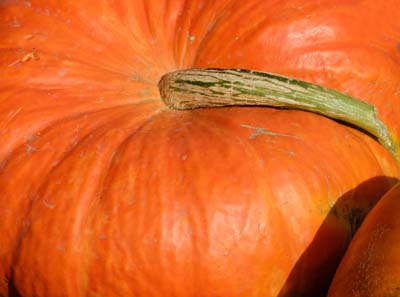 2013-09-21-011a