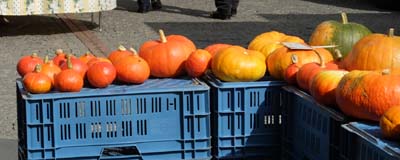 2013-09-21-015a
