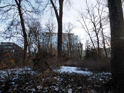 2015-02-07-219