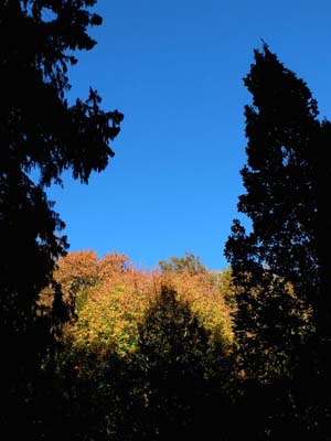 2018-10-28-002