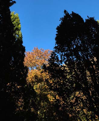 2018-10-28-003