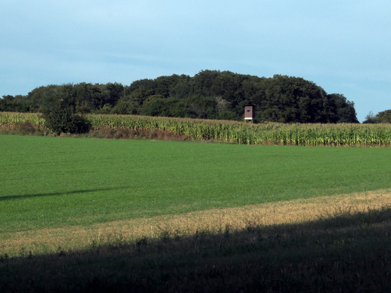 Accueil