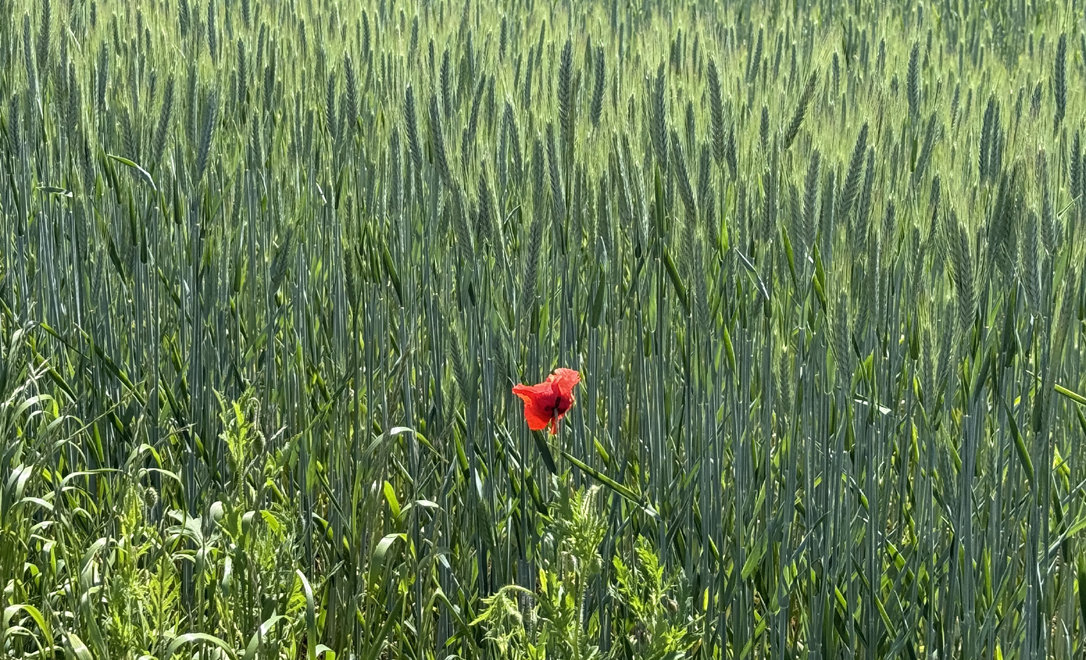 Accueil