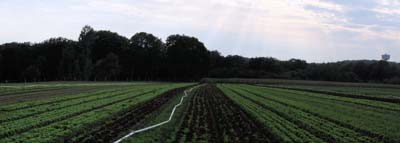 2021-09-26-135pan