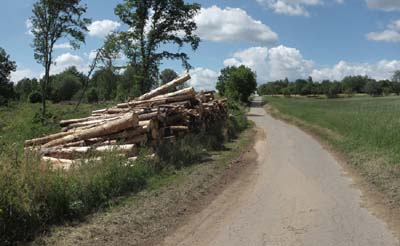 2022-06-09-049pan