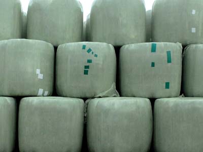 2023-10-03-003a