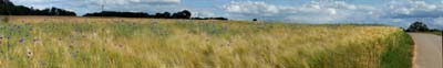 2024-06-15-067pan