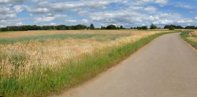 2024-06-15-100pan