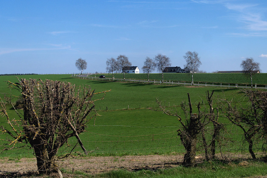 Accueil