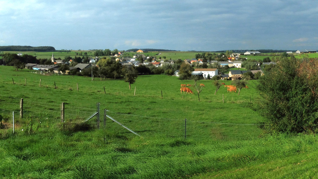 Accueil
