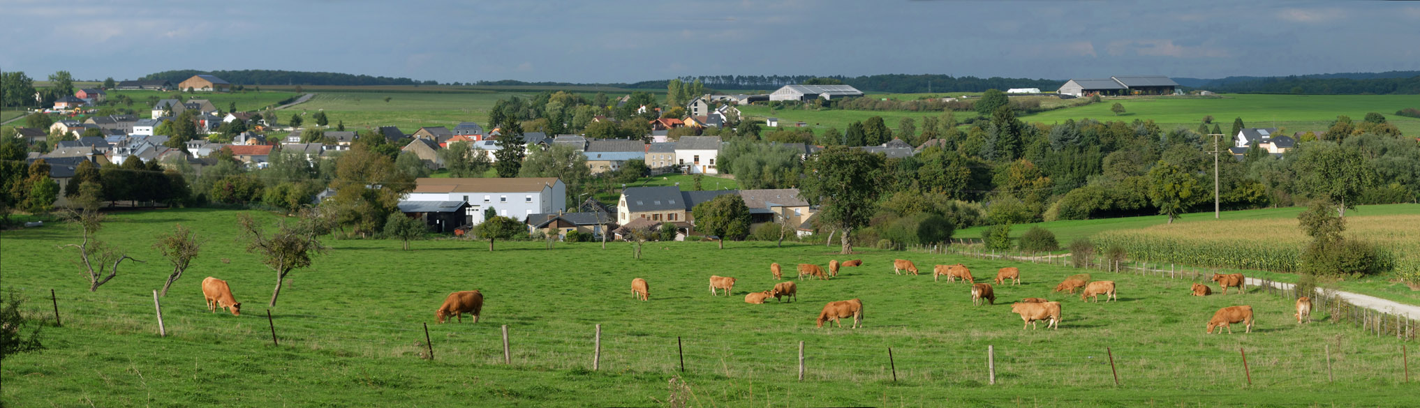 Accueil