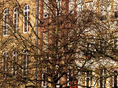 2008-02-04-176a