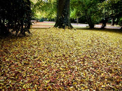 2008-10-14-102a