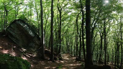 2014-09-15-244-pana
