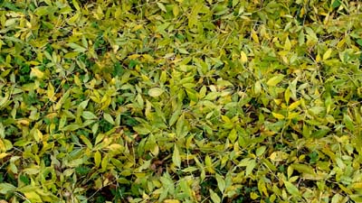 2015-10-21-025a1
