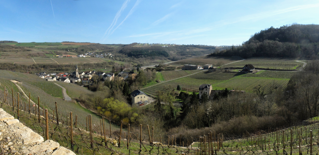 Accueil