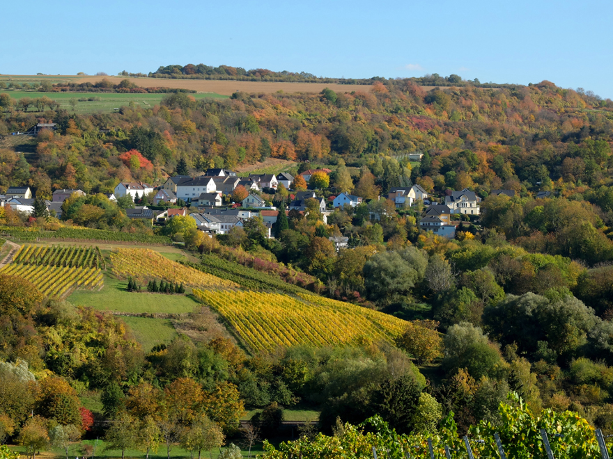 Accueil