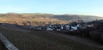 ahn-2022-01-25-013pan