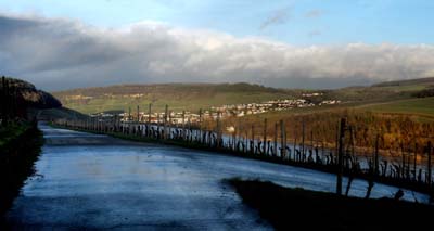 ahn-2023-01-11-038pan