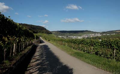 mat-2021-10-10-037pan