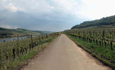 mat-2022-05-08-158pan