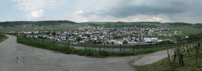 mat-2022-05-08-165pan