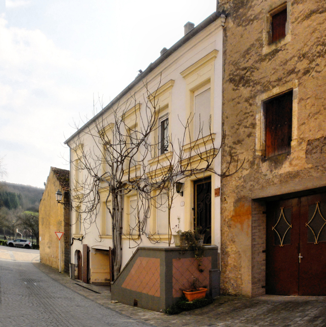Accueil