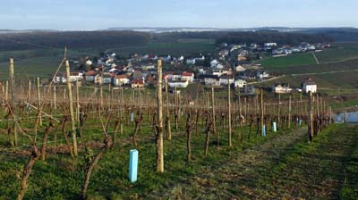 ehn-2016-01-21-078
