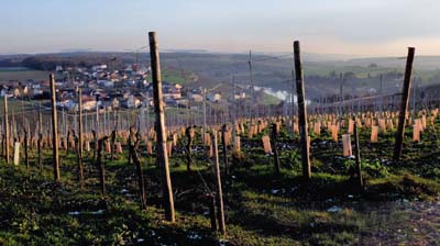 ehn-2016-01-21-132-pan2