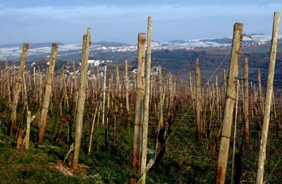 ehn-2016-01-21-152a