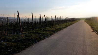 ehn-2016-01-21-156a