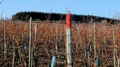 ehn-2017-02-13-015