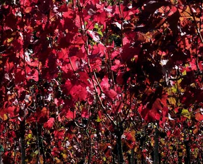 ehn-2018-10-05-022a