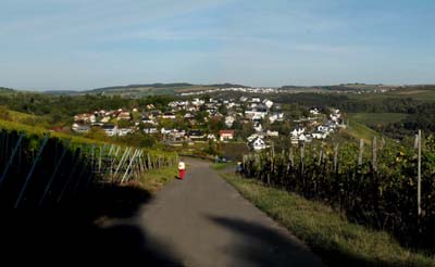 ehn-2021-10-15-076pan