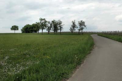 ehn-2022-05-05-069