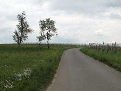 ehn-2022-05-05-070pan