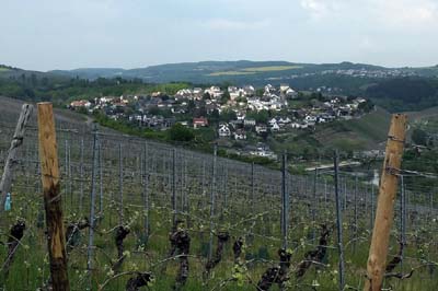 ehn-2022-05-05-087