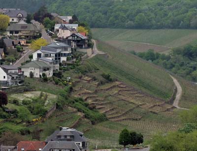 ehn-2022-05-05-096