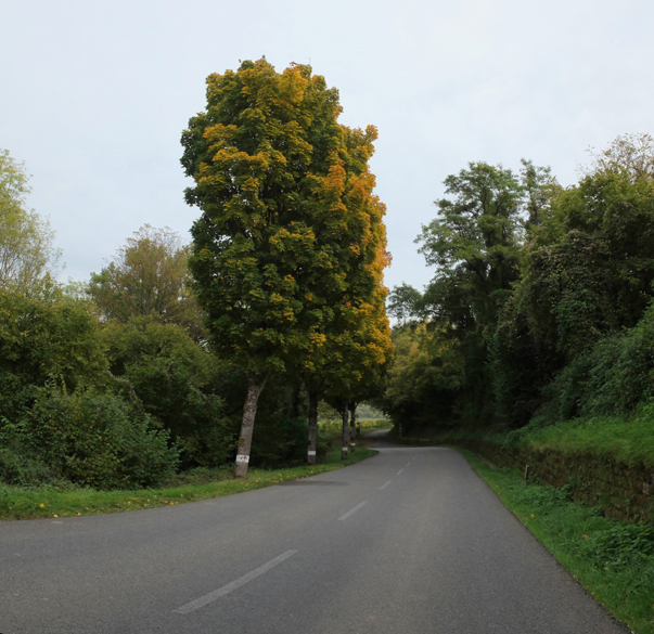 Accueil