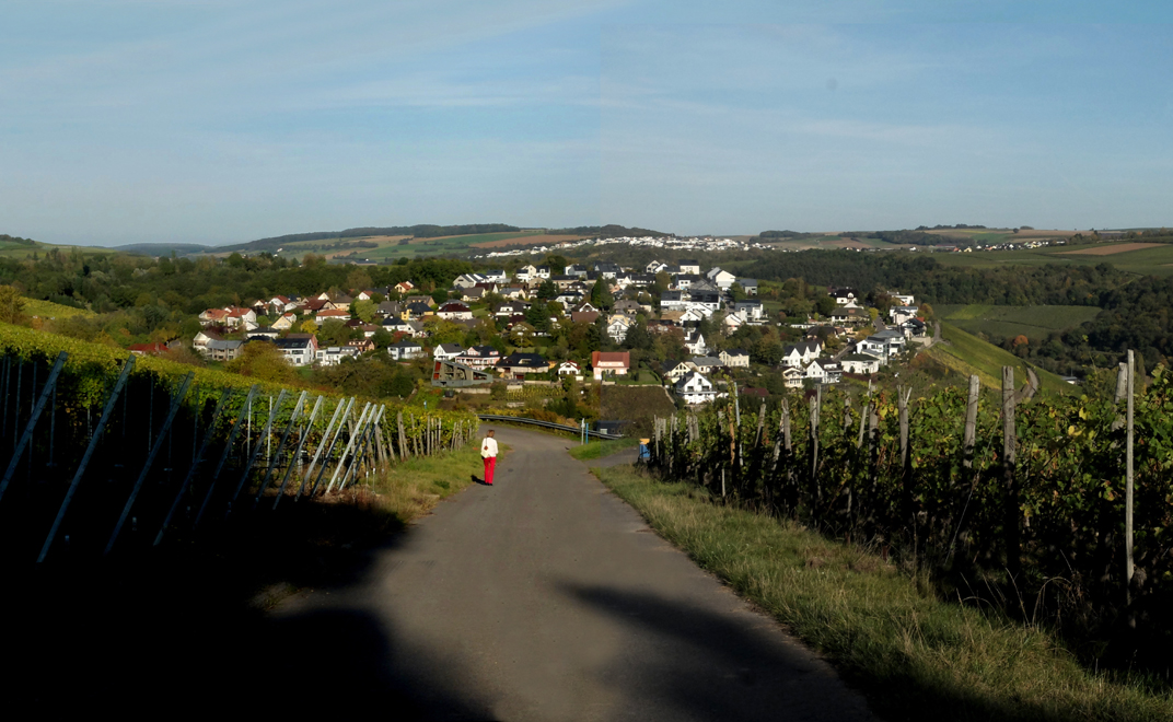 Accueil