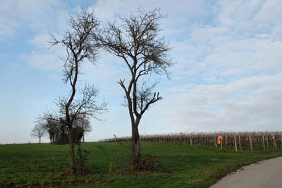 ehn-2016-01-21-064a